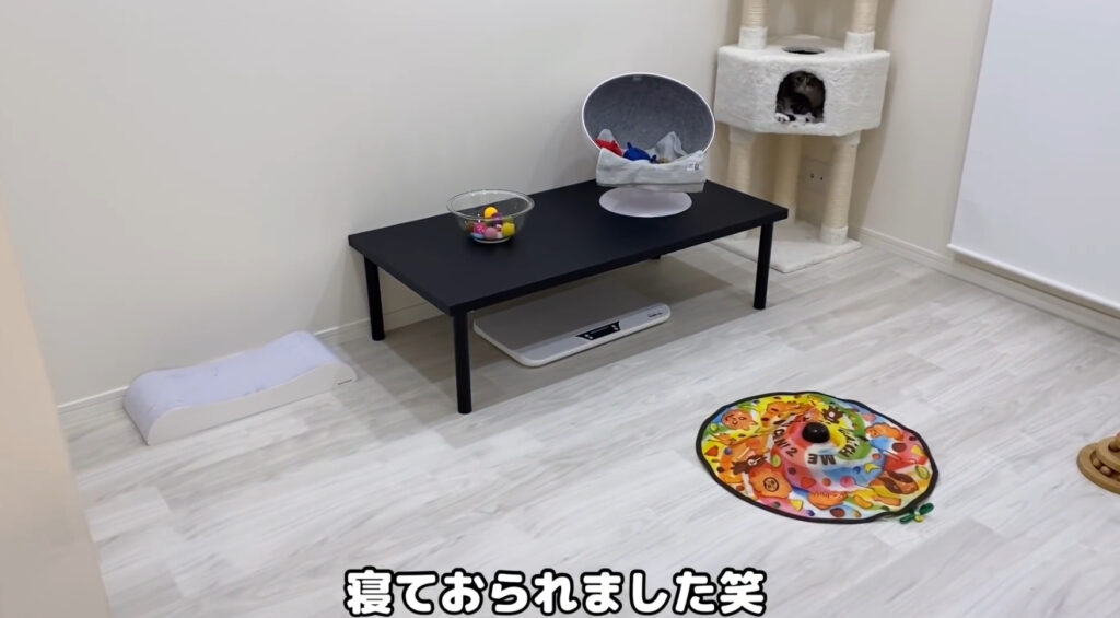 281b4f8b c4e6 4bcf 9fce 56630cd4b74b - もちまる日記の飼い主が顔バレして秋山吏功と判明？結婚相手は誰？