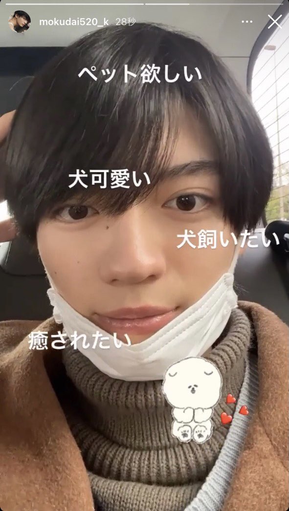 【最新版!】なえなのの彼氏は新井宝?歴代彼氏6人もまとめ! 犬飼いたい - 【最新版!】なえなのの彼氏は新井宝?歴代彼氏6人もまとめ!