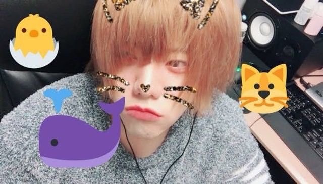 さとみくんの加工なし顔バレと整形前の昔の顔は?本名が「つな」は本当? ダウンロード - さとみくんの加工なし顔バレと整形前の昔の顔は?本名が「つな」は本当?