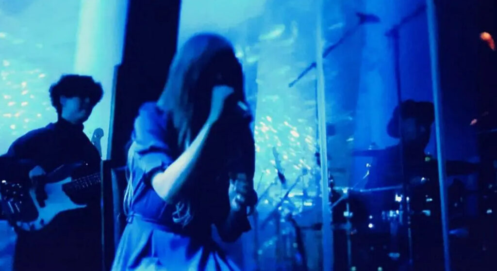 suisさん画像２ - 【ヨルシカの素顔】suis＆n-bunaの顔バレ画像と年齢・身長のプロフィール！