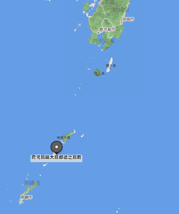 平成フラミンゴりほの本名やタトゥーの場所は?体重・身長のプロフィール! スクリーンショット 2022 11 10 161948 - 平成フラミンゴりほの本名やタトゥーの場所は?体重・身長のプロフィール!