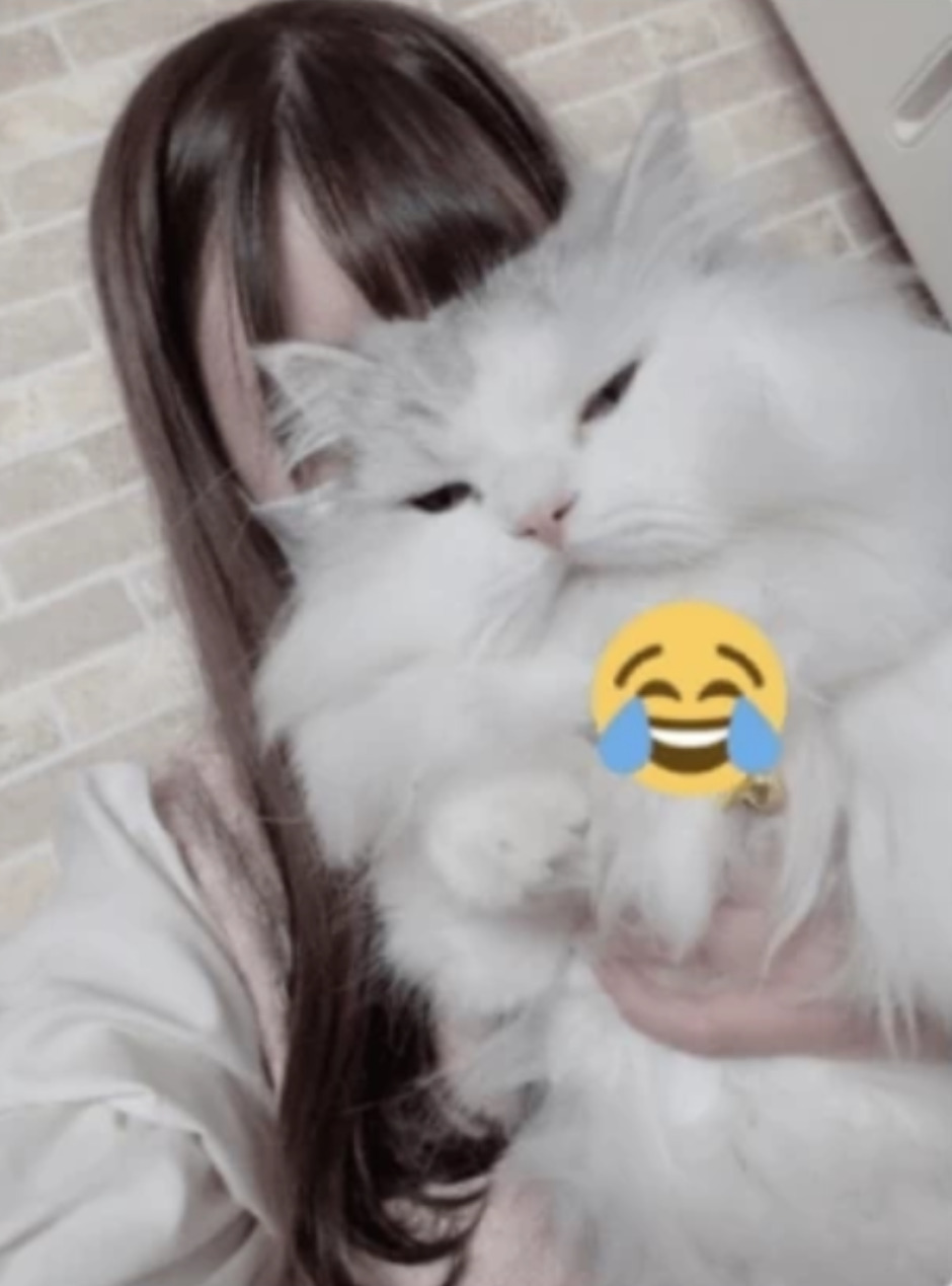 我部りえるの中の人(前世)は元サンリオ系Youtuber?個人時代に顔バレしてる? 766895c1 5be8 4fc6 ae7c c07f7c7f746f - 我部りえるの中の人(前世)は元サンリオ系Youtuber?個人時代に顔バレしてる?