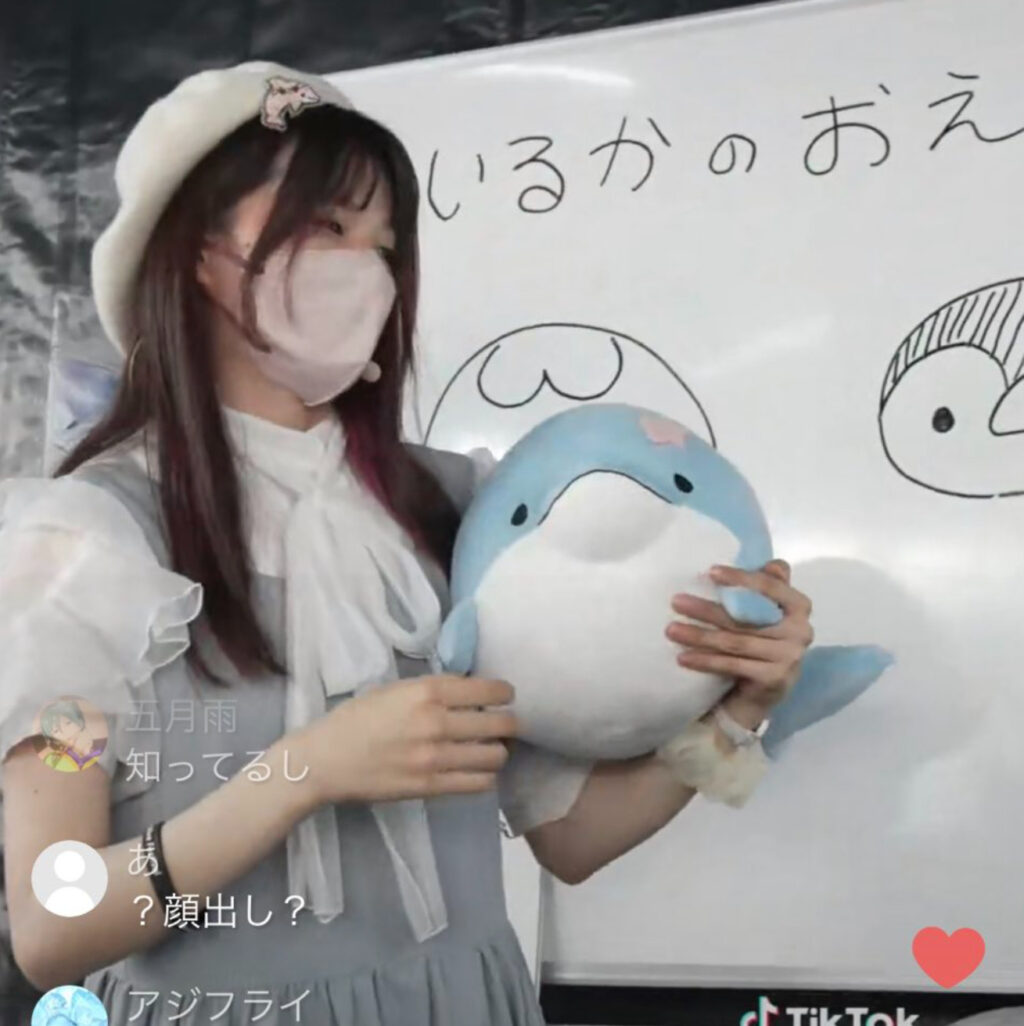 3751725c 6af5 4783 8778 e5b44aa3935f - みいるかの顔バレが可愛すぎる！持病の病名や年齢・本名を調査！