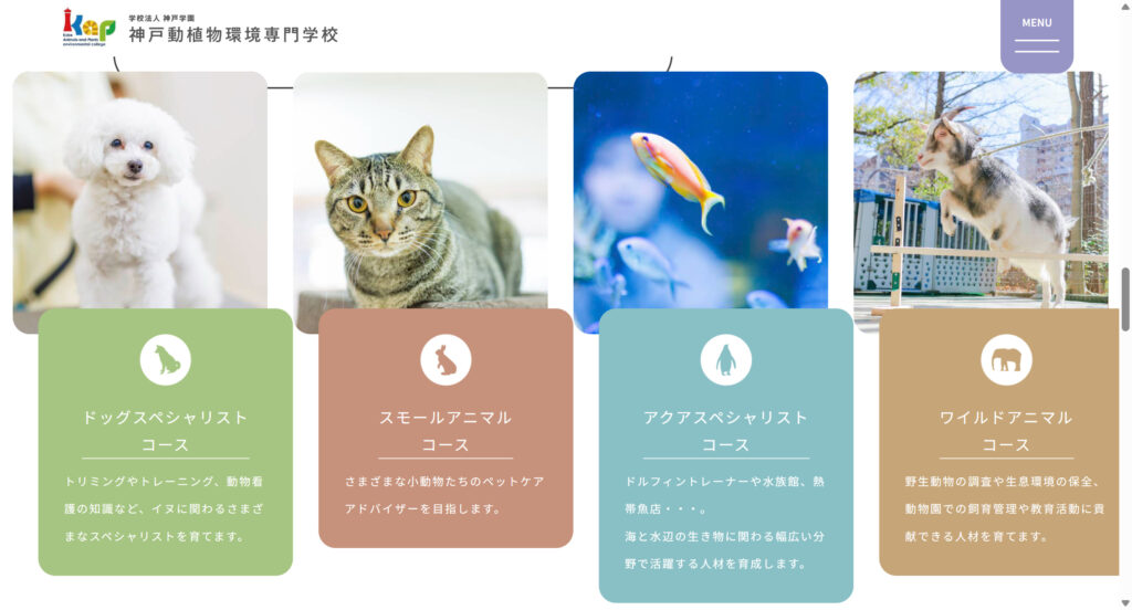 3f732c78 abb1 434b 8483 64573e130073 - みいるかの顔バレが可愛すぎる！持病の病名や年齢・本名を調査！