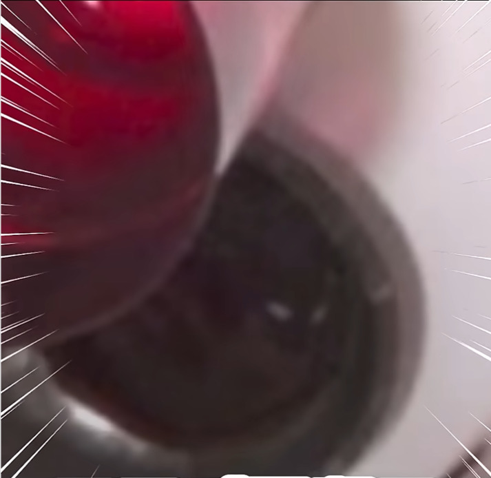 ダウンロード 2026 02 17T091206.906 - あおぎり高校の顔バレ事件全まとめ！反射や炎上で中の人が顔バレしたメンバーは？