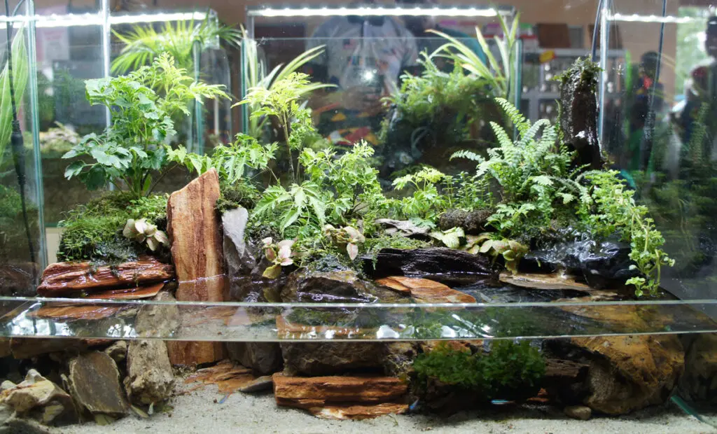 Depositphotos 231033370 DS - Adoが素顔をビバリウムMVで公開！画像は本人？素顔を見た人の感想まとめ！