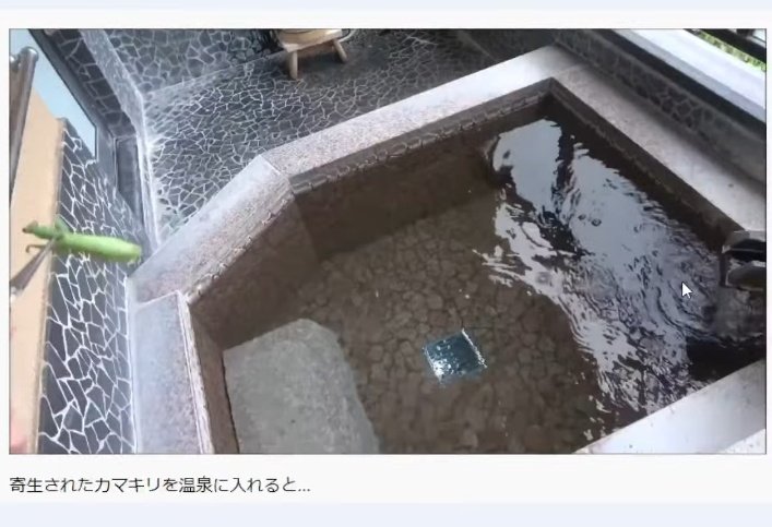 ochannelfire2 - おーちゃんねるの炎上理由まとめ！ブラックバスや温泉カマキリ、クワガタのトラブルなど！